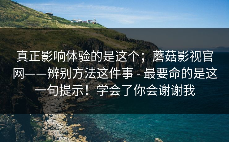 真正影响体验的是这个;蘑菇影视官网——辨别方法这件事 - 最要命的是这一句提示!学会了你会谢谢我 第1张 真正影响体验的是这个;蘑菇影视官网——辨别方法这件事 - 最要命的是这一句提示!学会了你会谢谢我 第1张